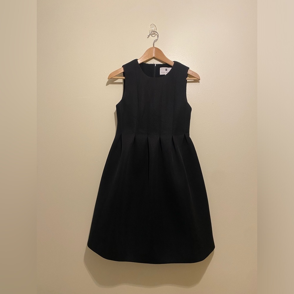 Lisa Perry Classic Black Silk Dress with pockets. Size 2